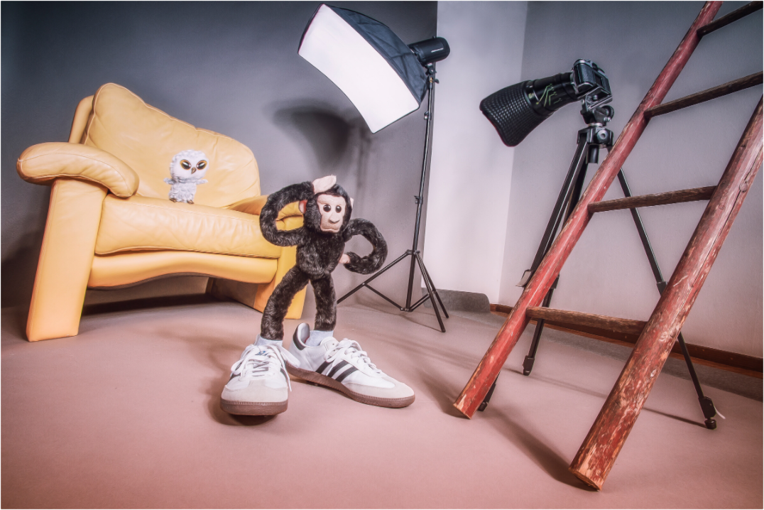 Main image Plushy Monkey as a Photograph