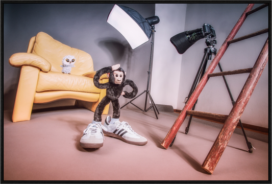 Main image Der Fotograf und die Eule -