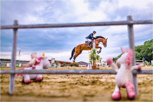 Main image Wandbild kleine Einhörner Kuscheltiere auf dem Reiterhof Deko Kinderzimmer